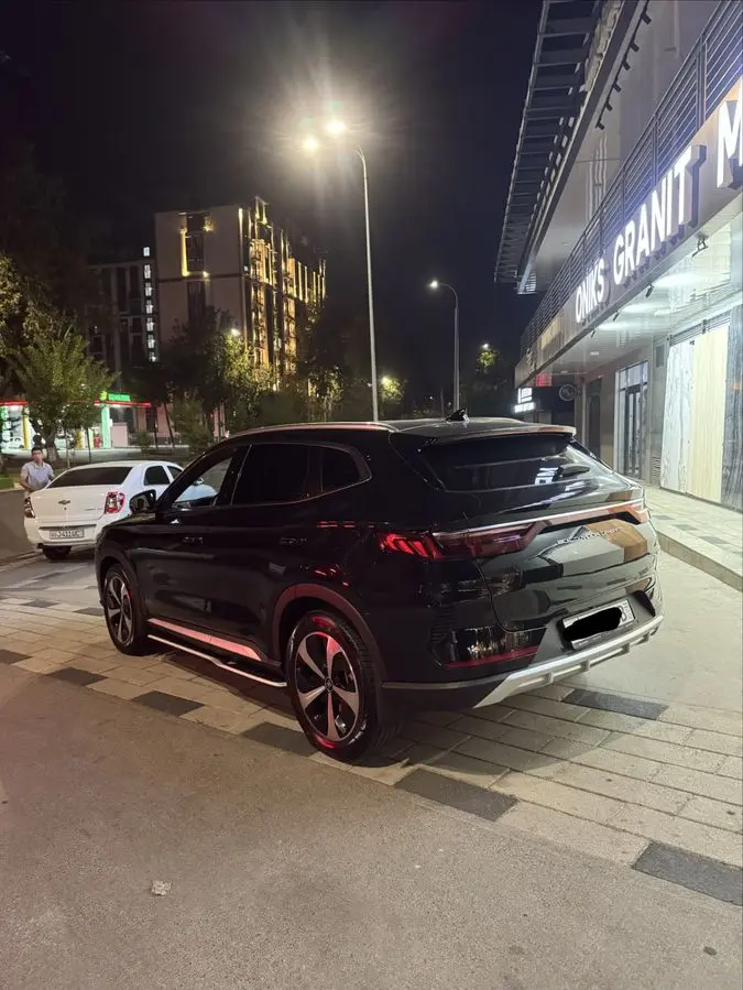 Byd song plus flagship