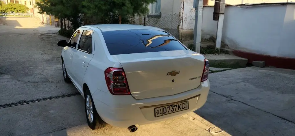 Kobalt 2023/24 краска тозза.