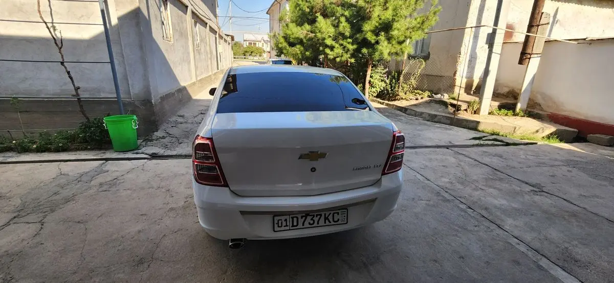 Kobalt 2023/24 краска тозза.
