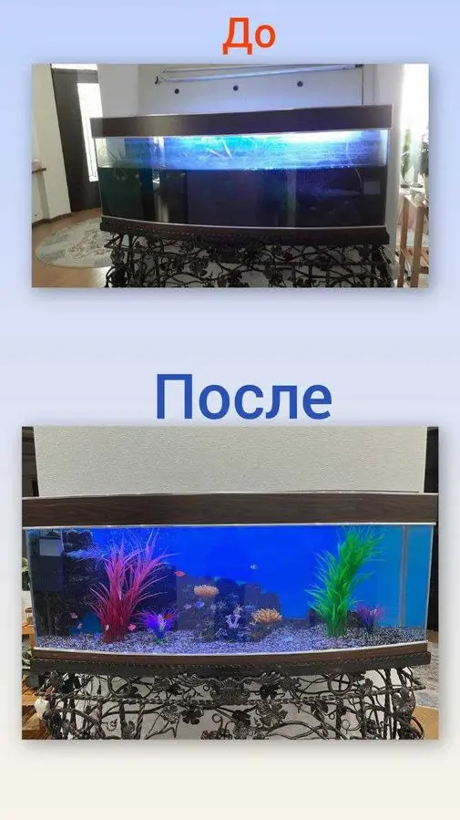 Профессиональная чистка аквариума AQUALIFE