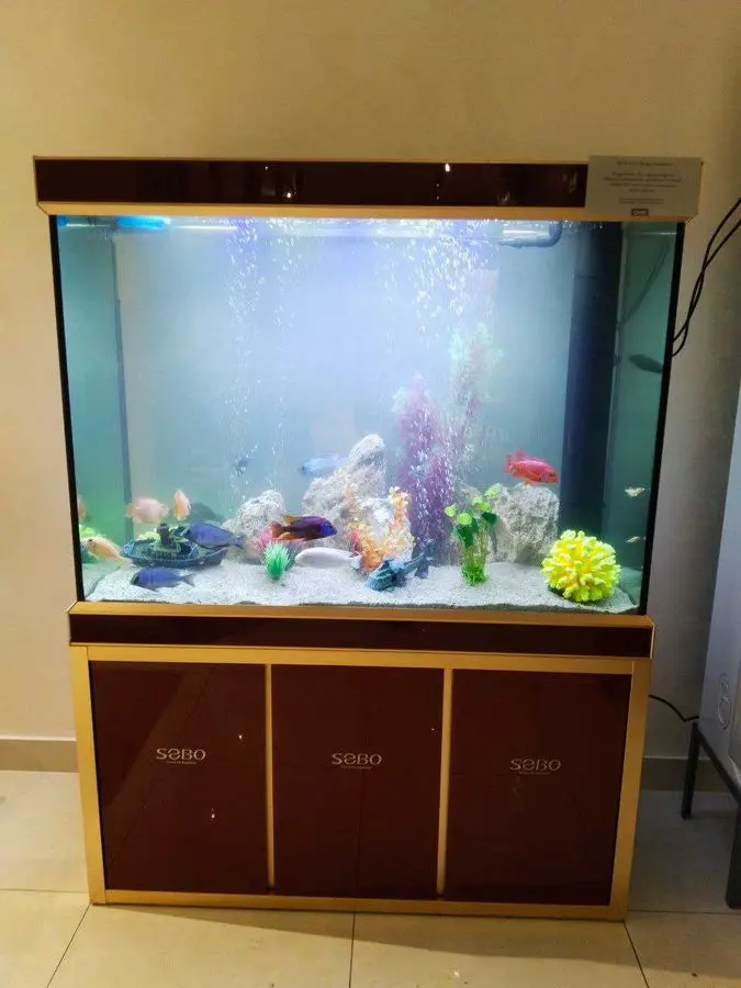 Профессиональная чистка аквариума AQUALIFE